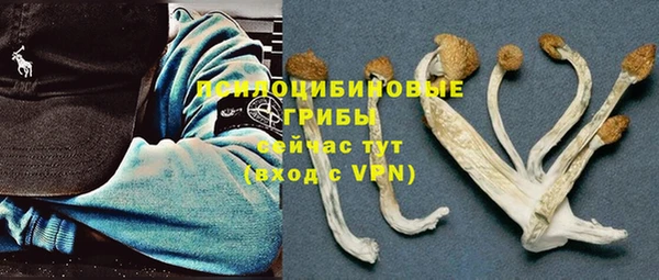 твердый Алексеевка