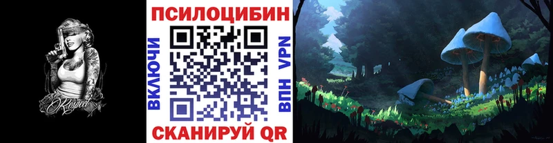 Галлюциногенные грибы Psilocybine cubensis  Артём 
